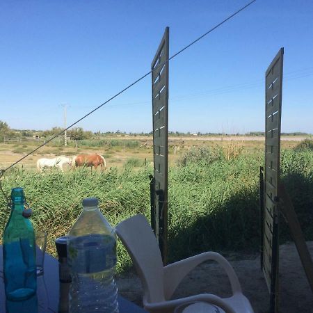 En Camargue Apartment Salin-de-Giraud Ngoại thất bức ảnh