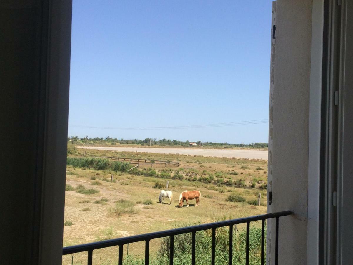 En Camargue Apartment Salin-de-Giraud Ngoại thất bức ảnh
