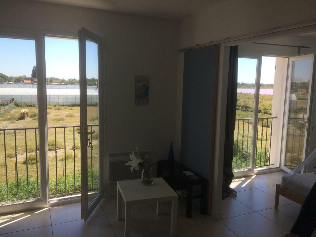 En Camargue Apartment Salin-de-Giraud Ngoại thất bức ảnh